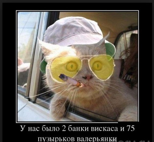 Клубный юмор