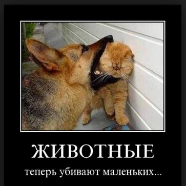 Животные теперь убивают маленьких