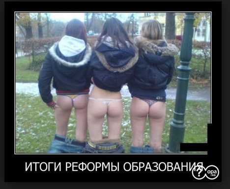 Итоги реформы образования