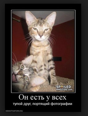 Он есть у всех, тупой друг, портящий фотографии
