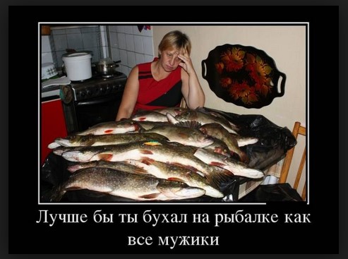 Лучше бы ms бухал нарыбалке, как все мужики