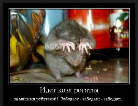 Идет коза рогатая за малыми ребятами!!!